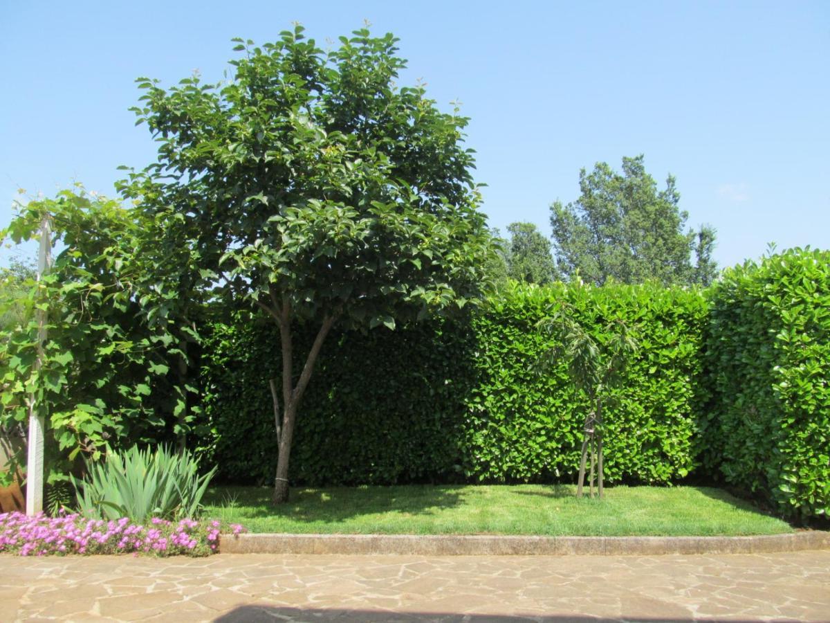 Apartments Zvezdica*** With Garden Zambratija  Εξωτερικό φωτογραφία