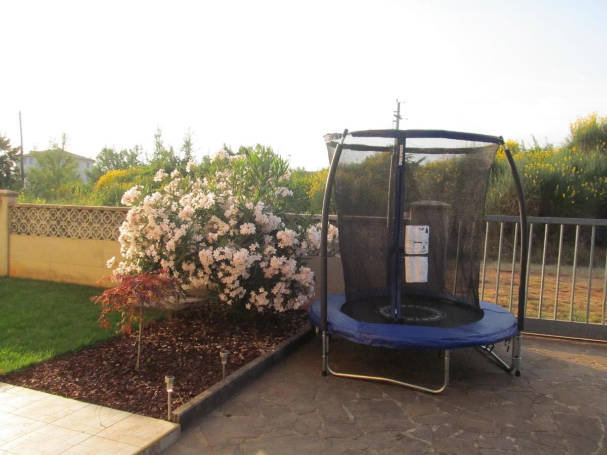 Apartments Zvezdica*** With Garden Zambratija  Εξωτερικό φωτογραφία