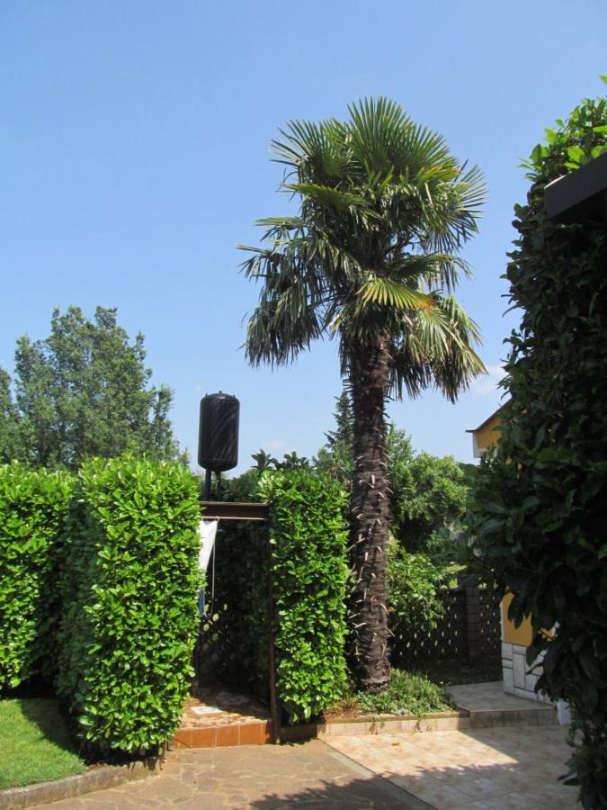 Apartments Zvezdica*** With Garden Zambratija  Εξωτερικό φωτογραφία