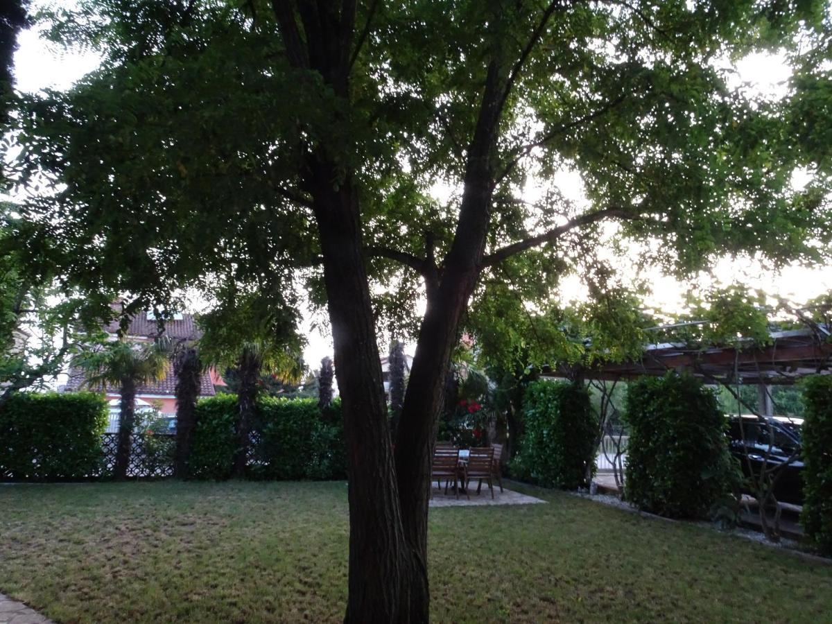 Apartments Zvezdica*** With Garden Zambratija  Εξωτερικό φωτογραφία